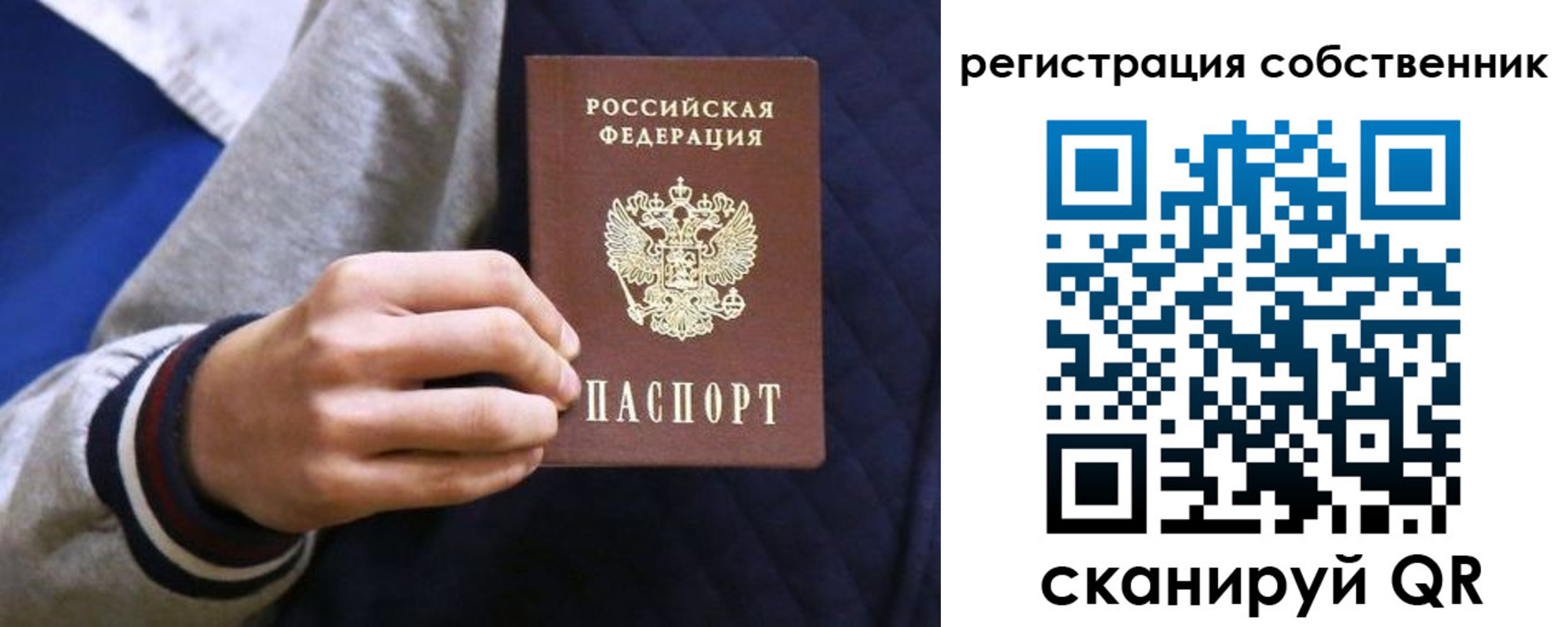 прописка поиск в Черноголовке
